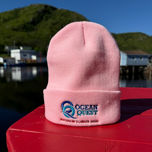 Ocean Quest Skull Cap - Pink